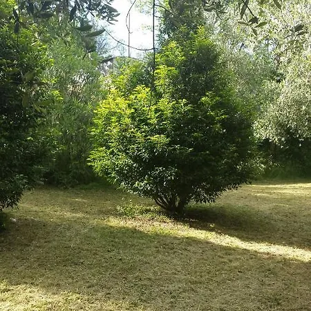 Le Terrazze di Torrano